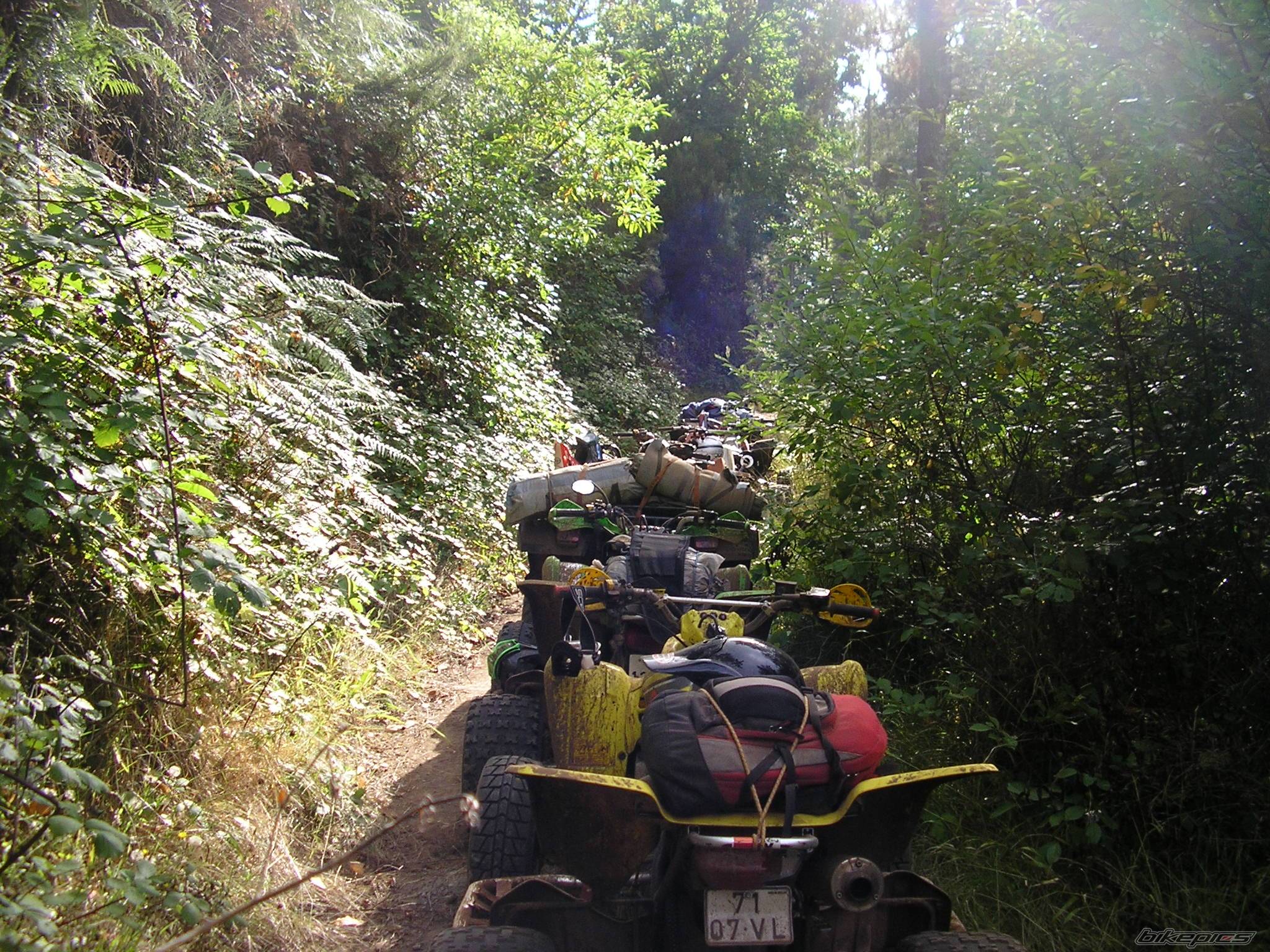Bike Photo 441280