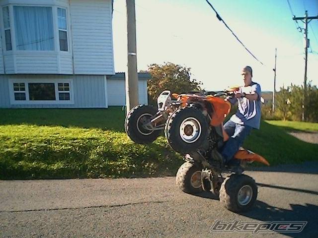 Photo 441304