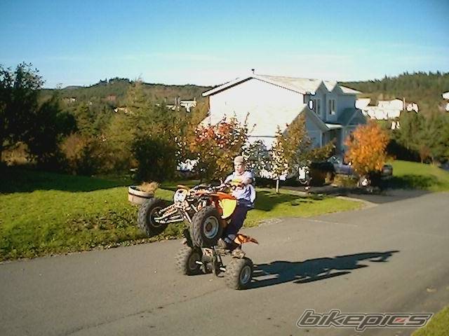 Photo 441306