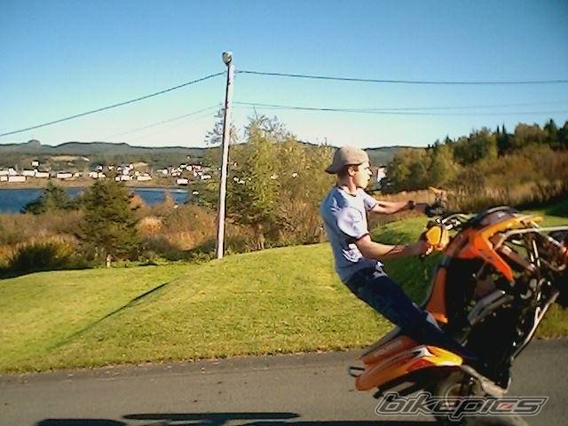 Photo 441307