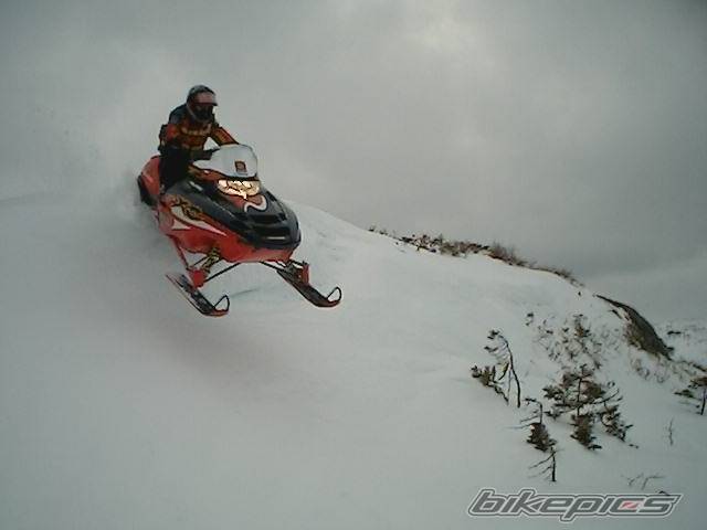 Photo 441338