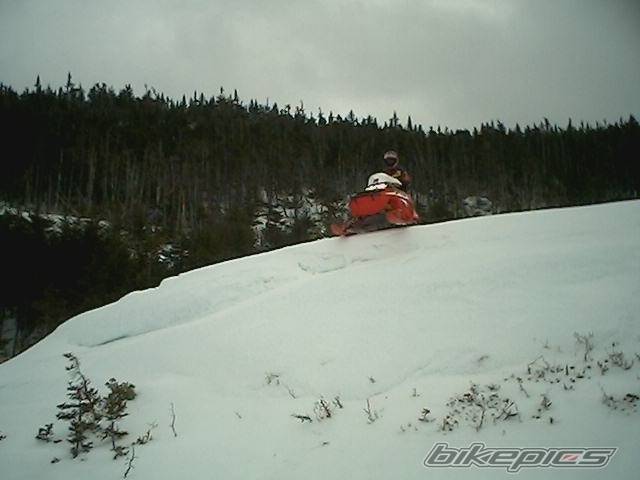 Photo 441339