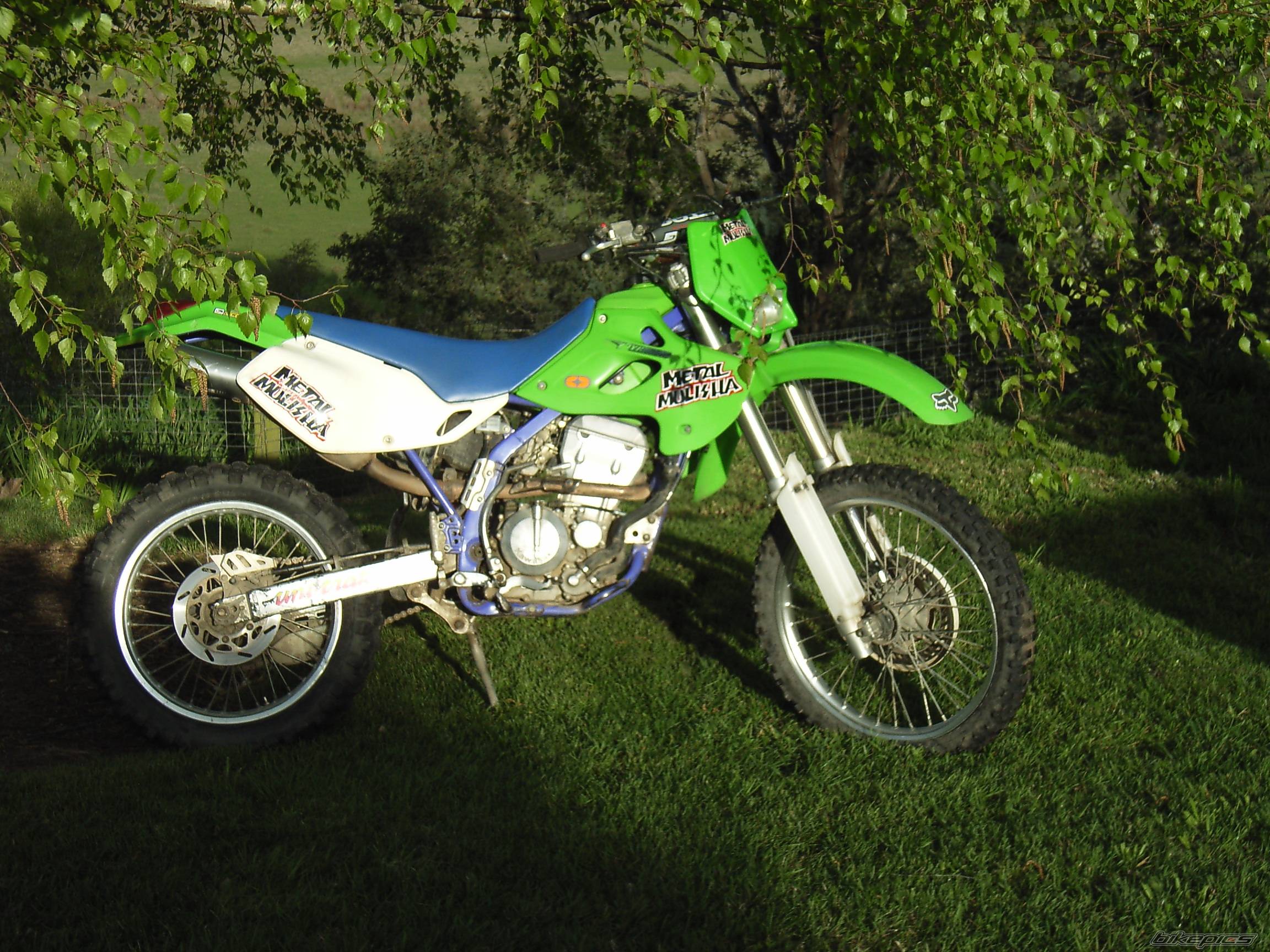 Photo 441384