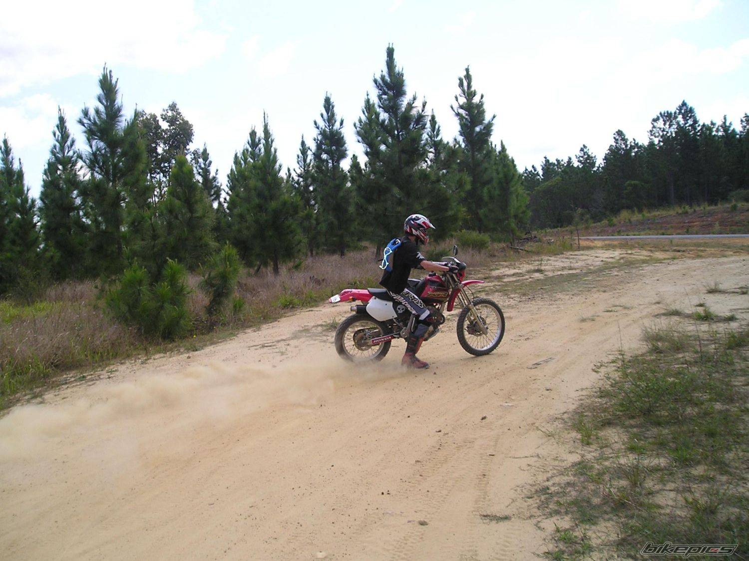 Photo 441498