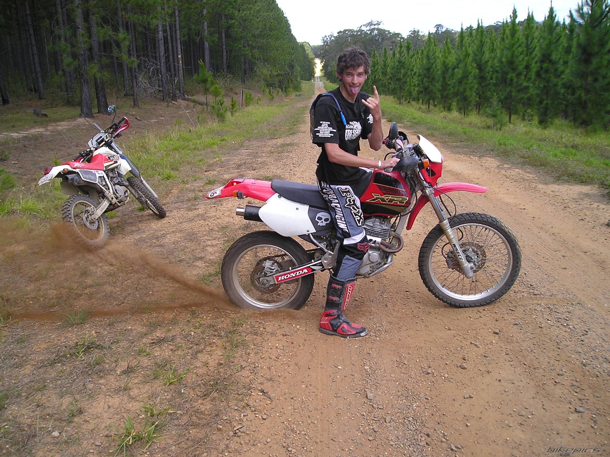 Photo 441501
