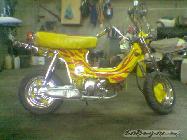 Bike Photo 441529