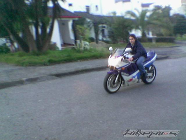 Photo 441600