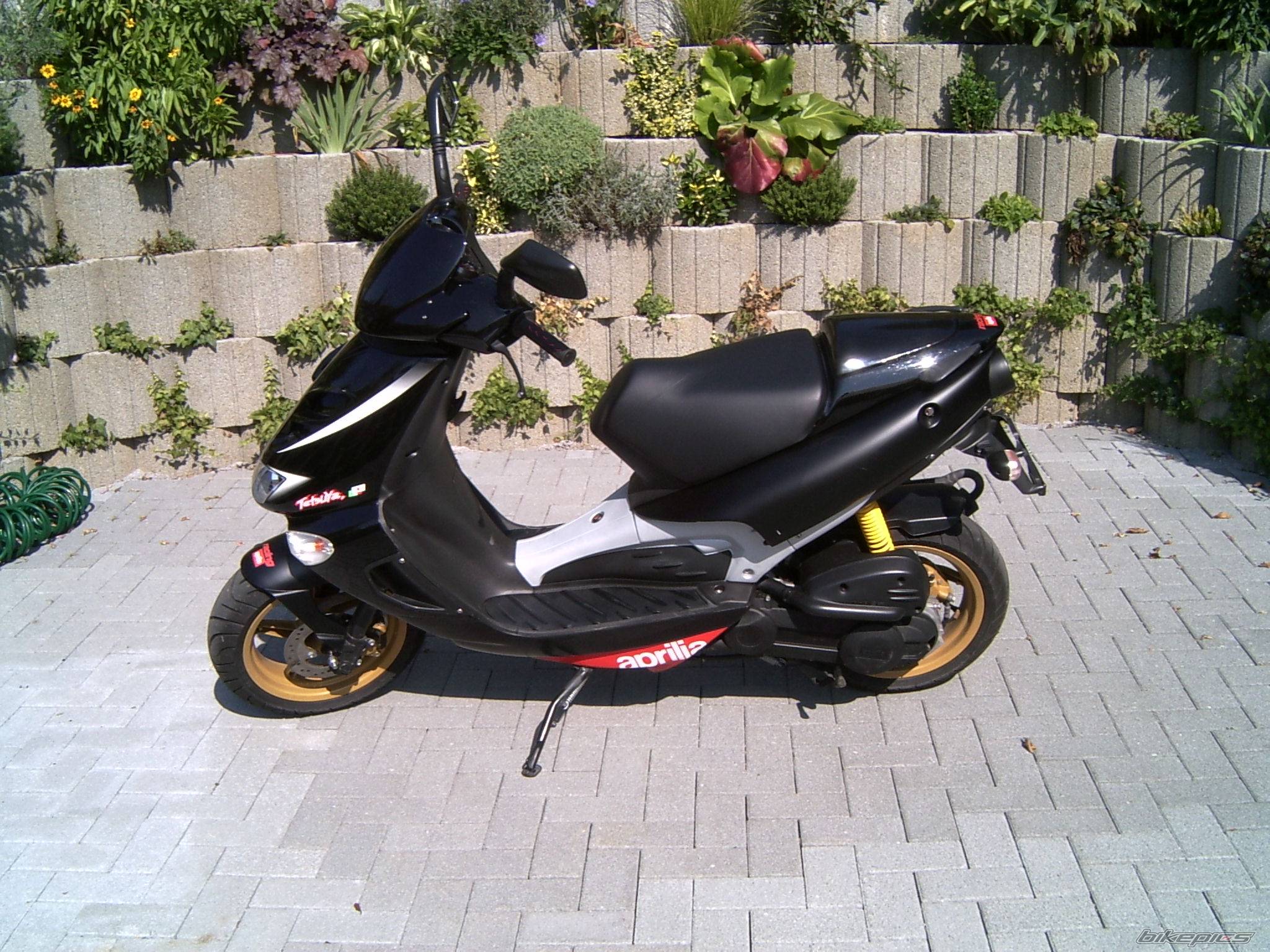 Bike Photo 441602