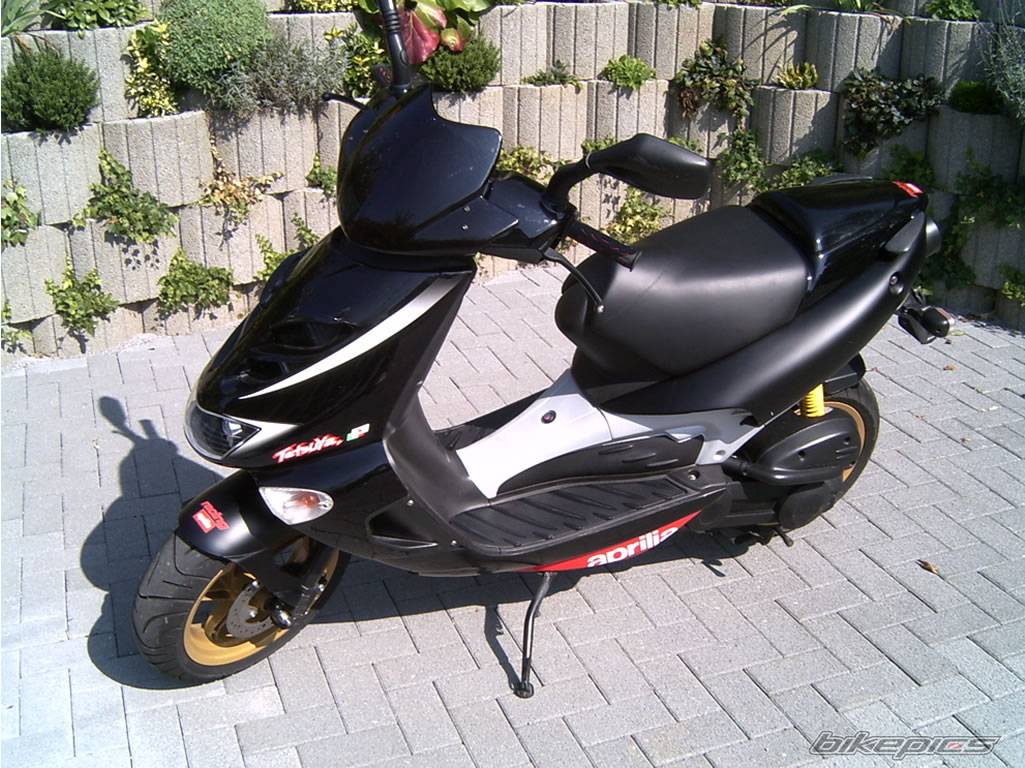 Photo 441603