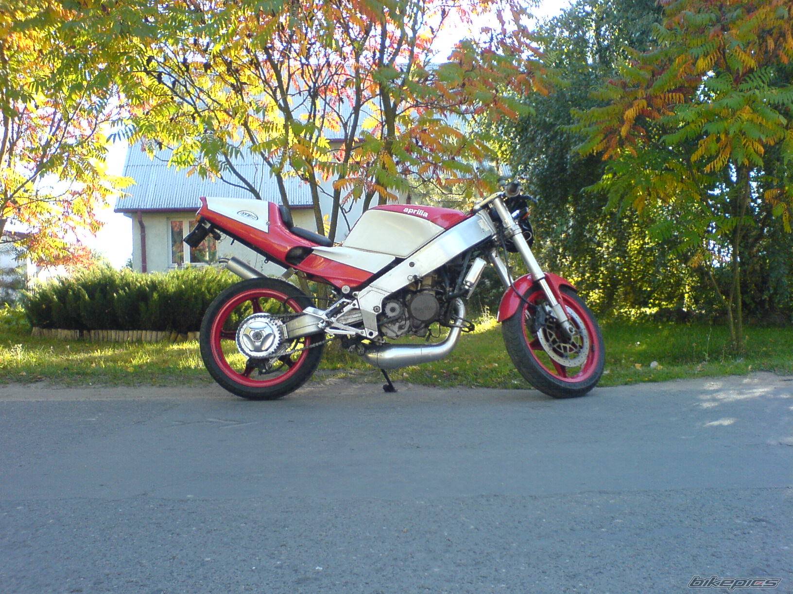 Bike Photo 441665