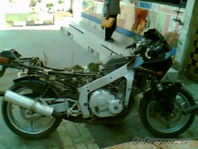 Photo 441670