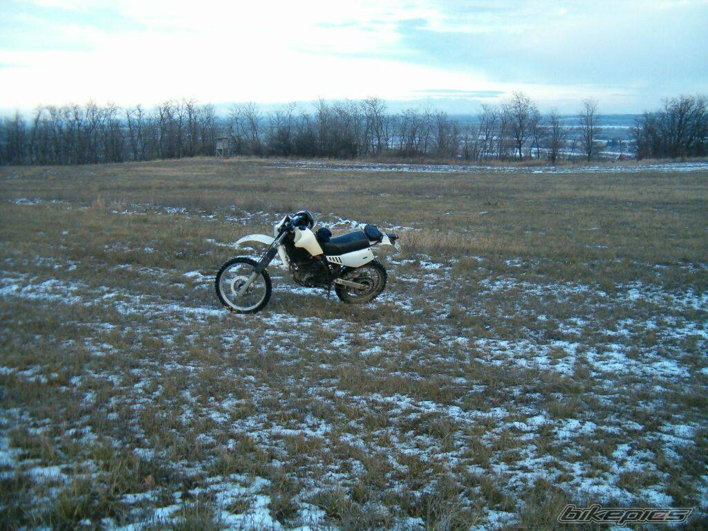 Photo 441715