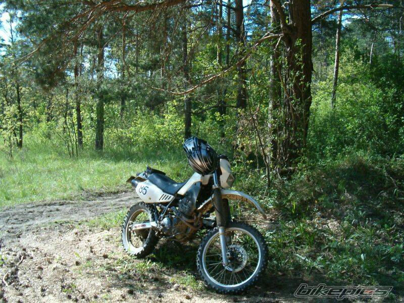 Photo 441716