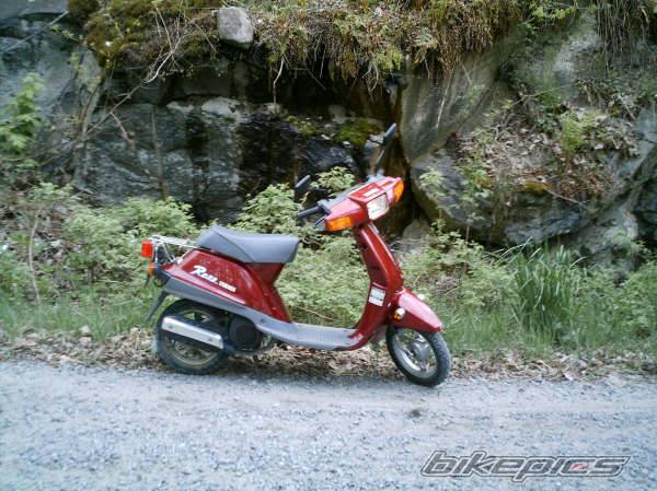 Photo 441861