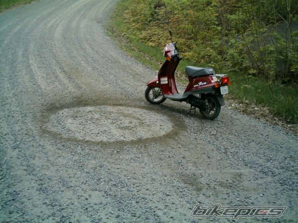 Photo 441862