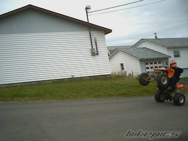 Photo 442384