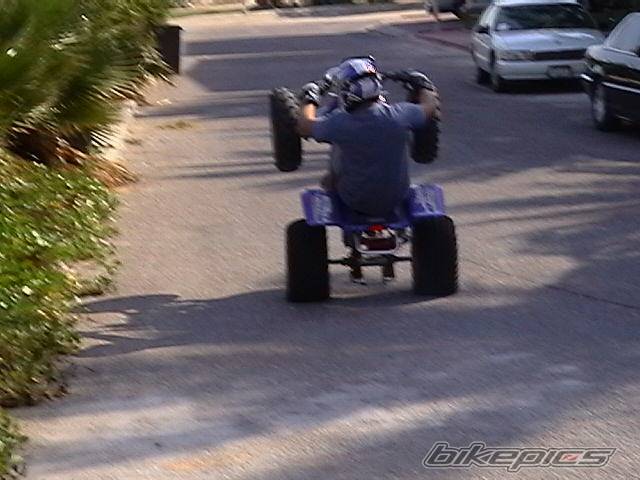 Photo 44246