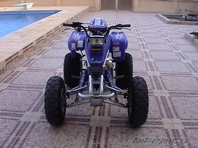 Photo 44247