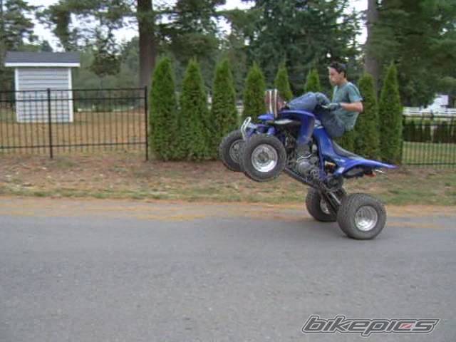 Photo 442516