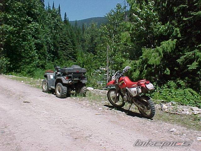 Bike Photo 44255