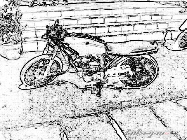 Bike Photo 442552