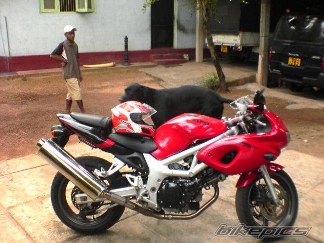 Photo 442676