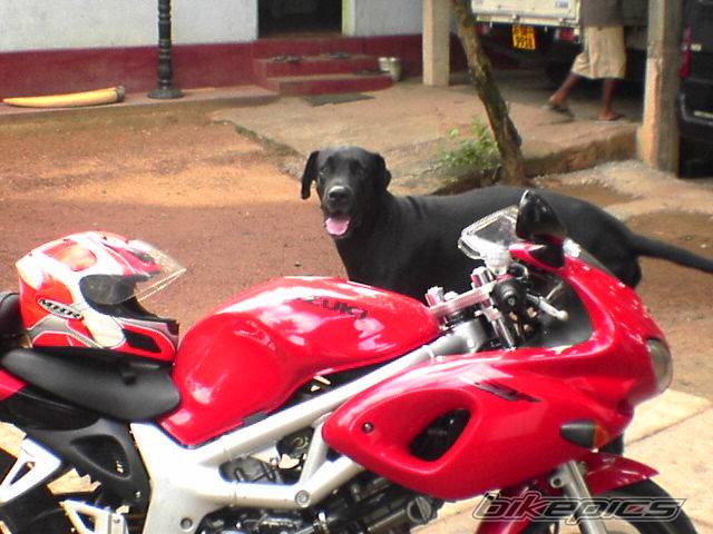 Photo 442678