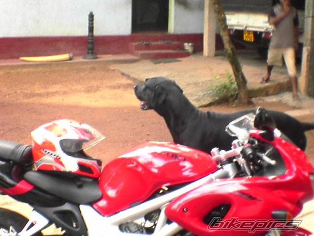 Photo 442687