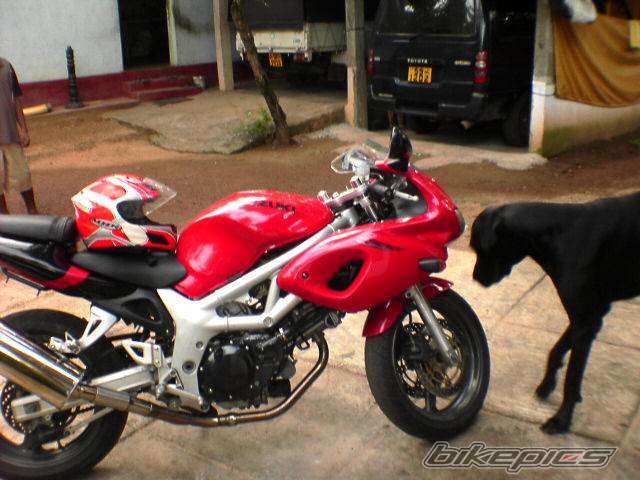 Photo 442688