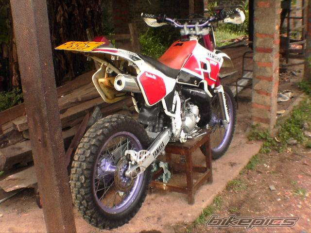 Bike Photo 442703