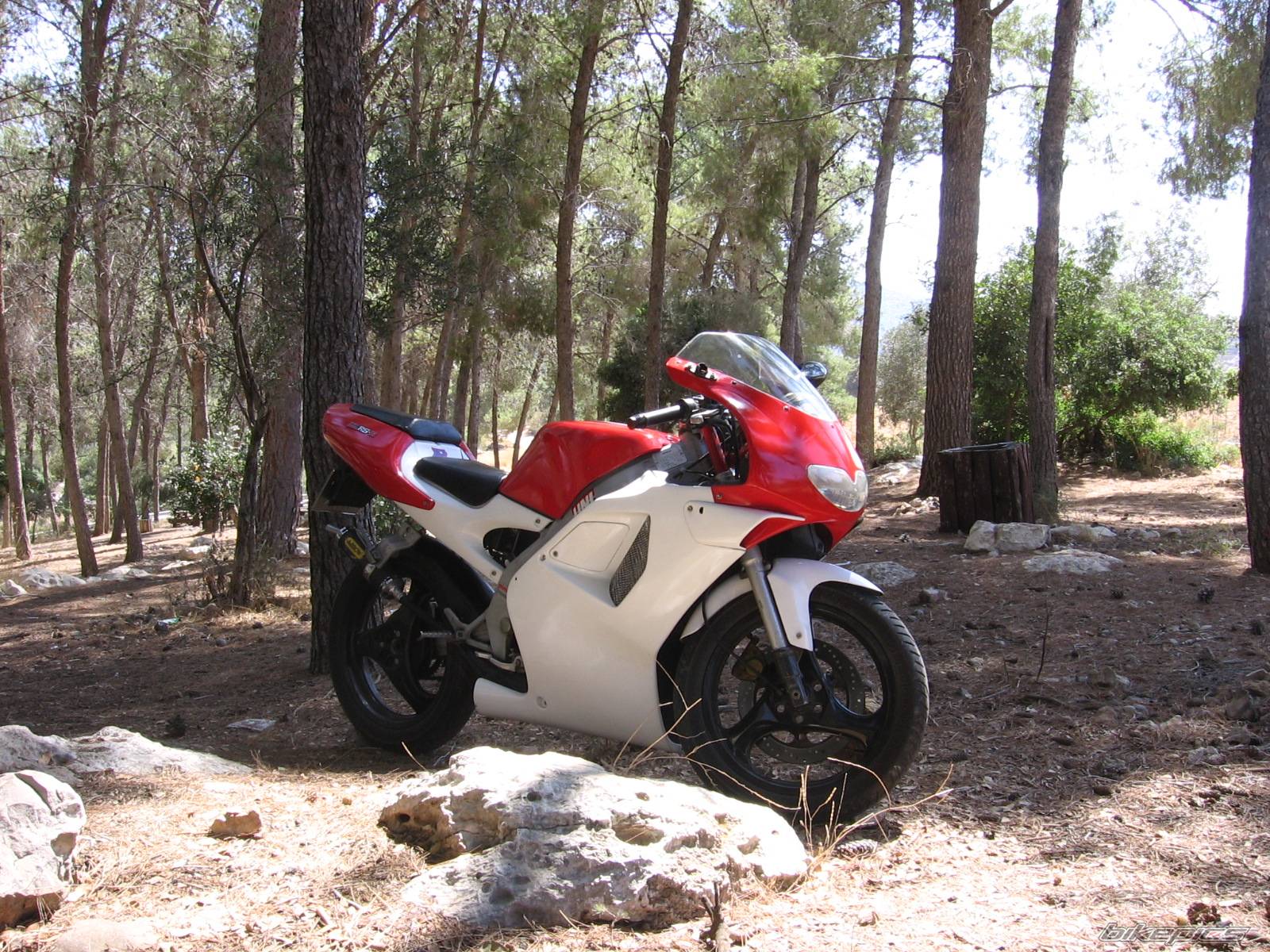 Bike Photo 442742