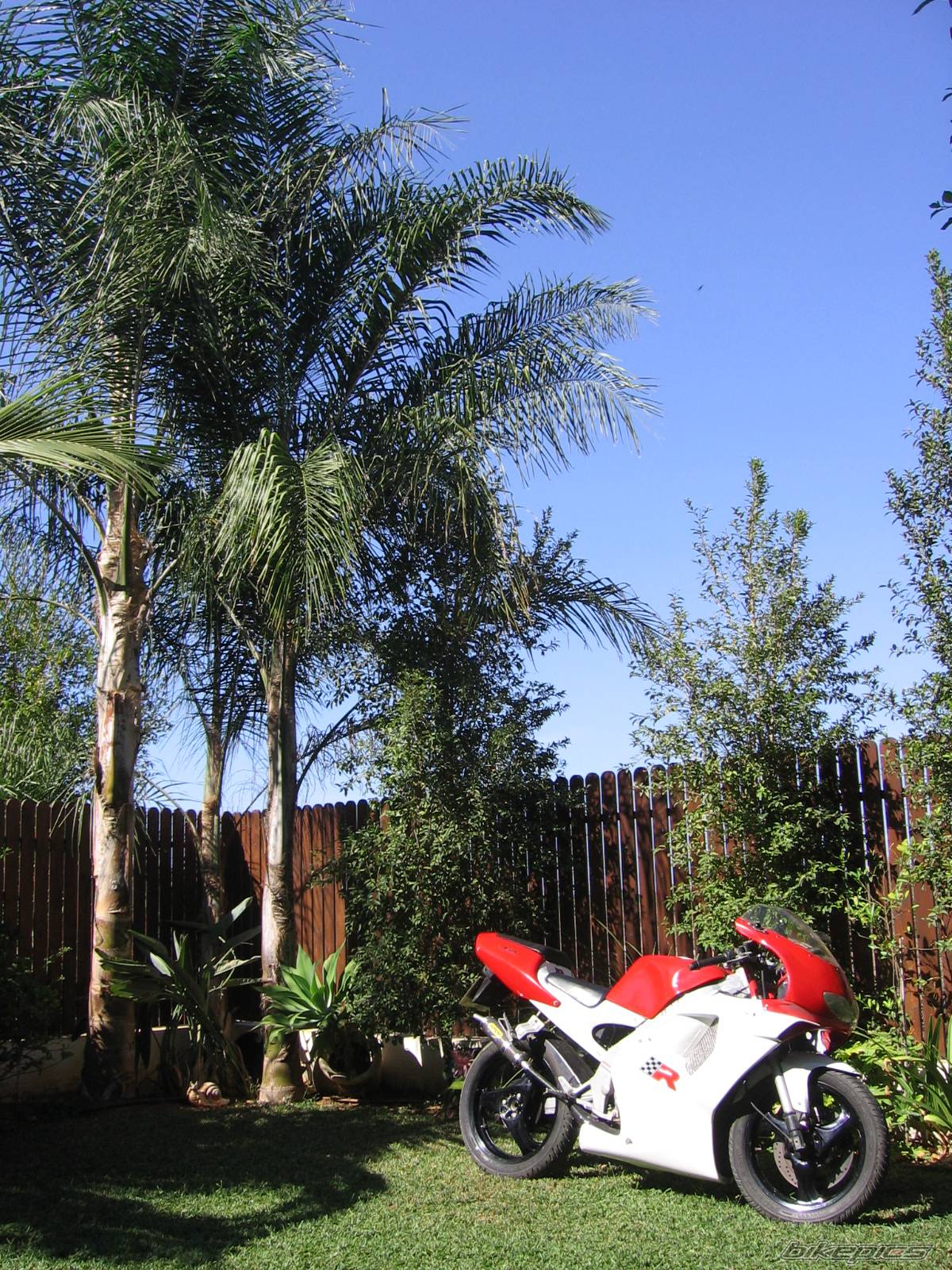Bike Photo 442748