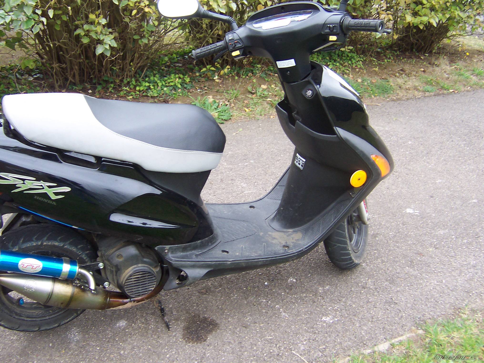 Photo 442769