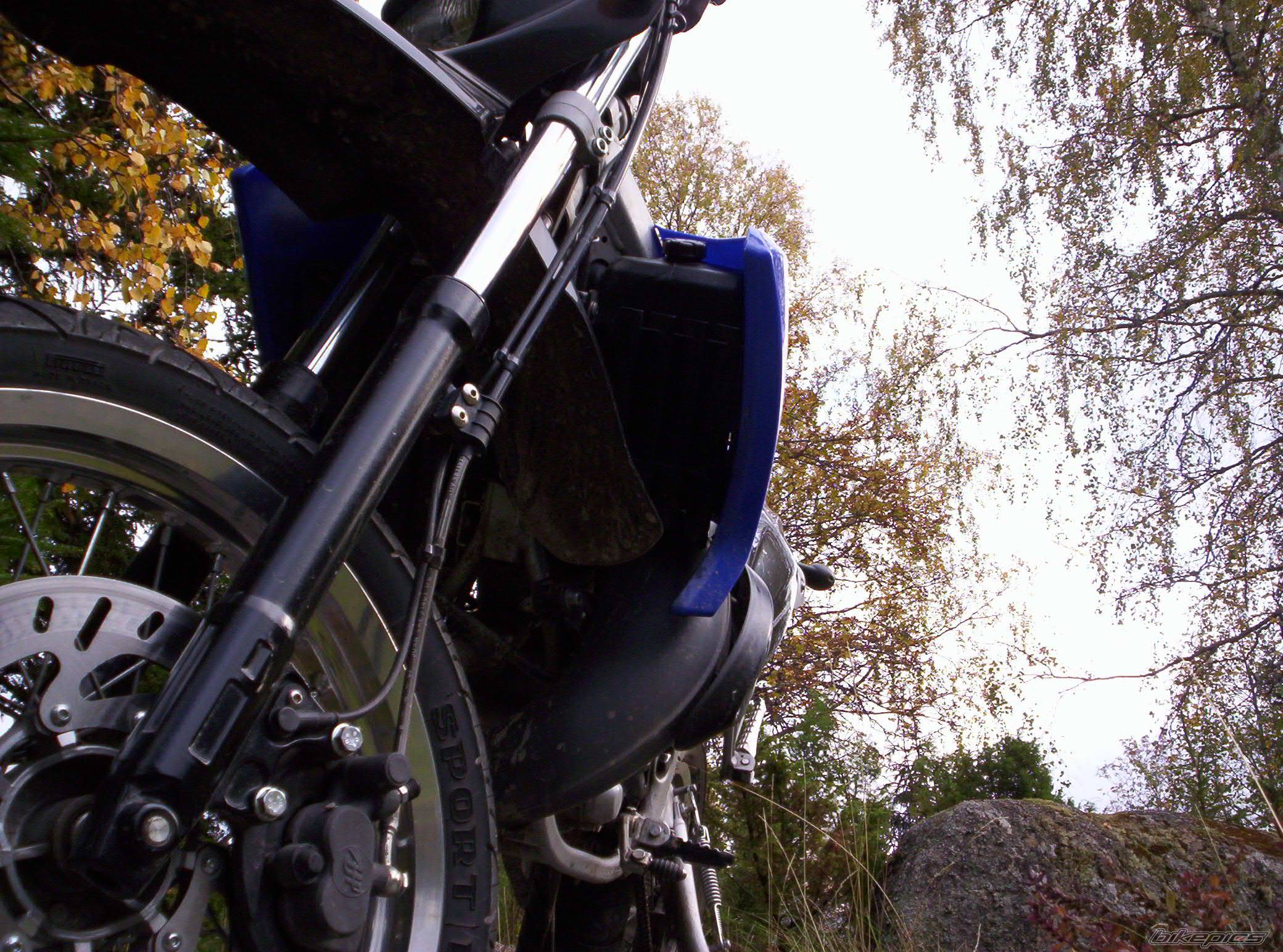 Photo 442790