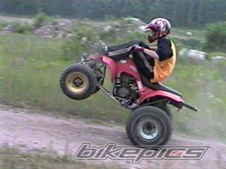 Photo 44336