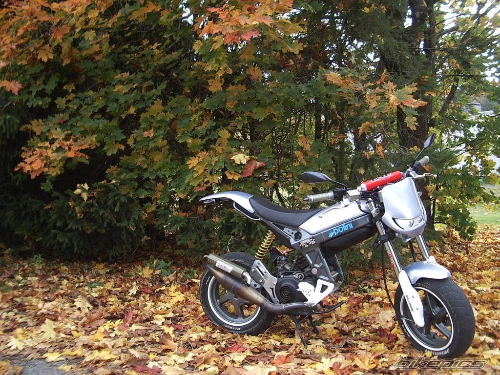 Bike Photo 443366