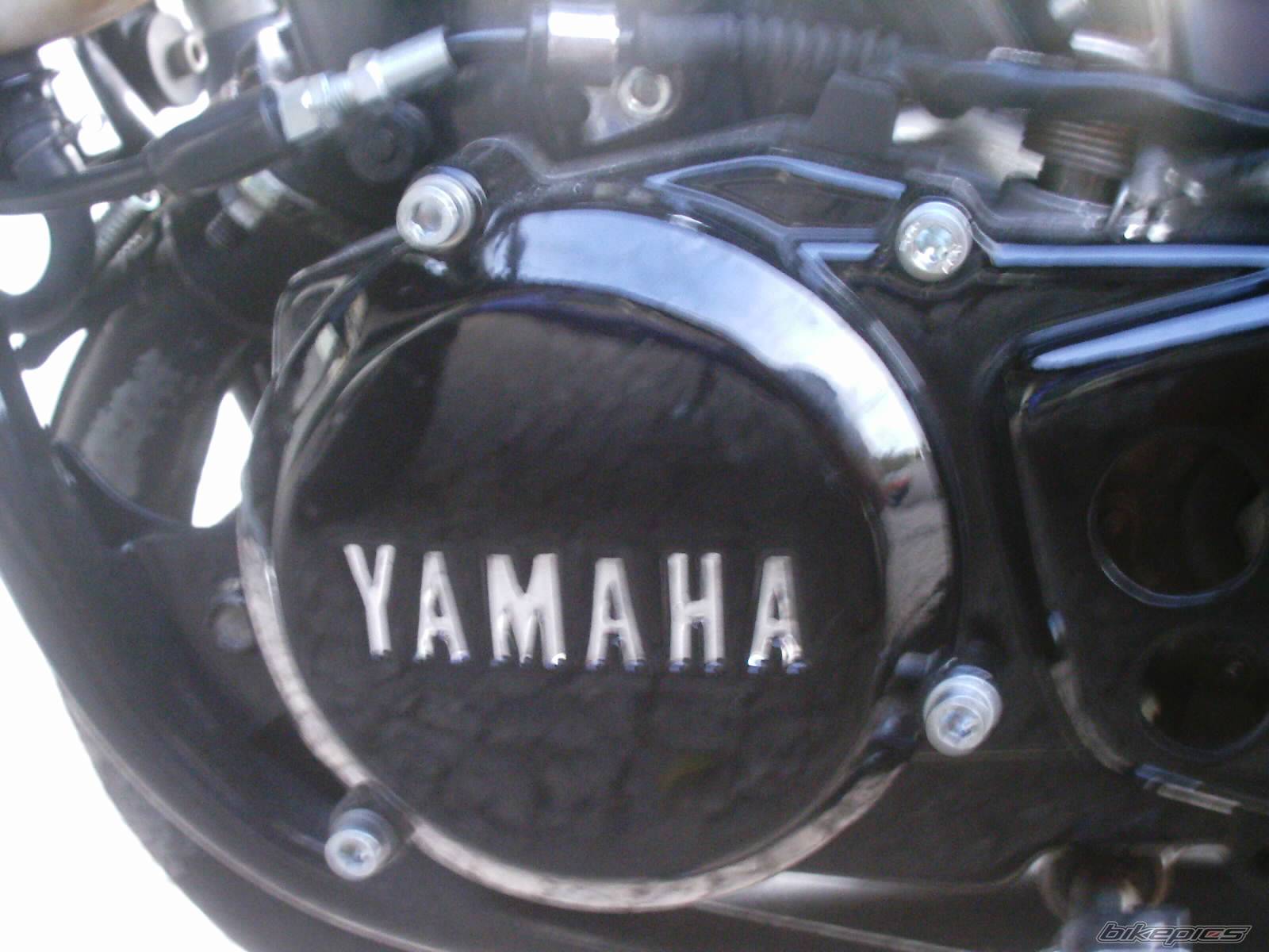 Photo 443531