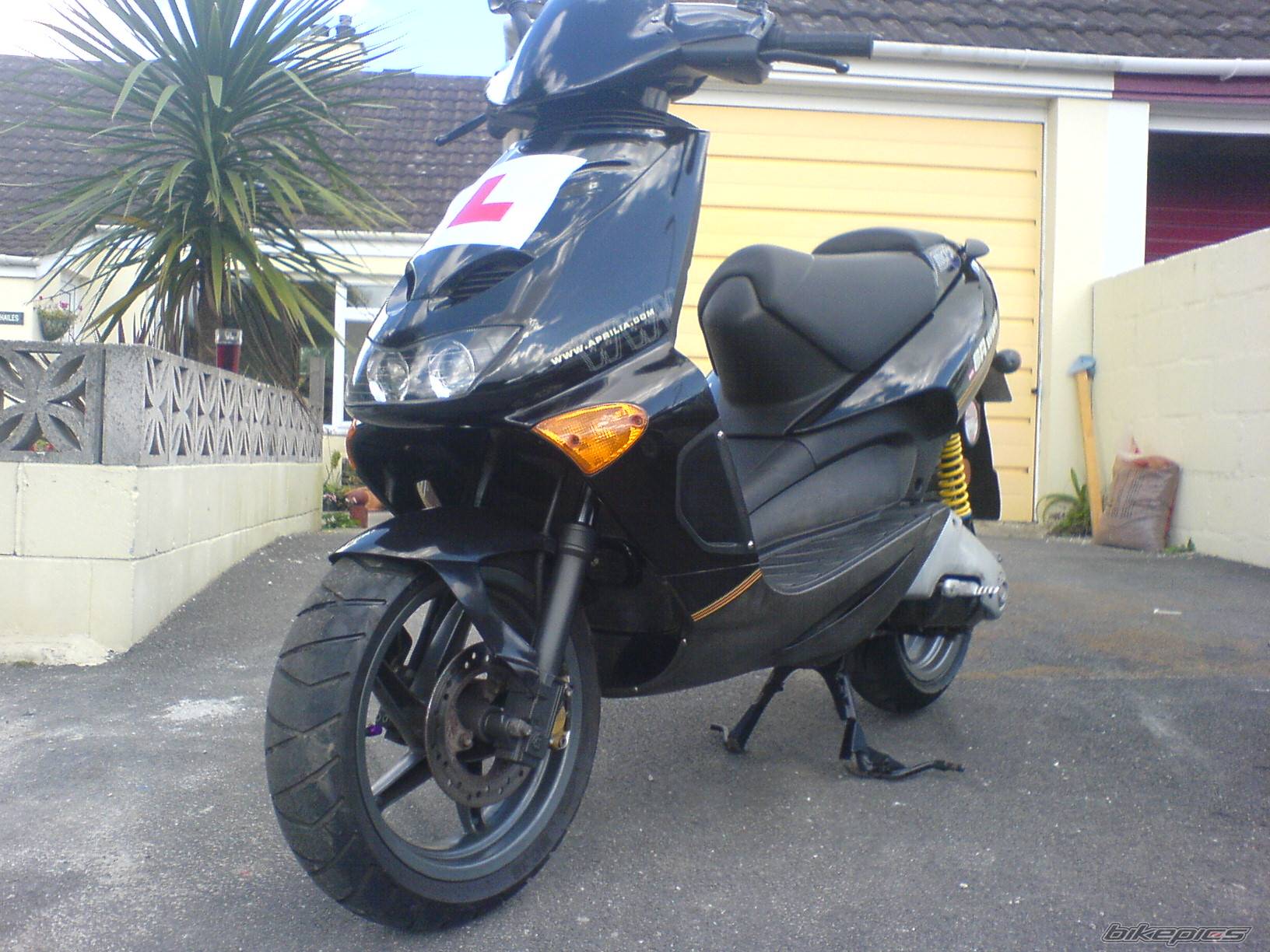 Photo 443549