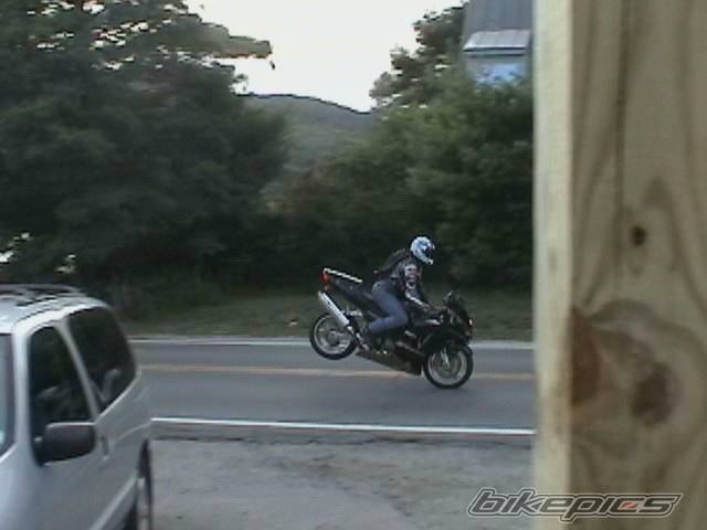 Photo 44372
