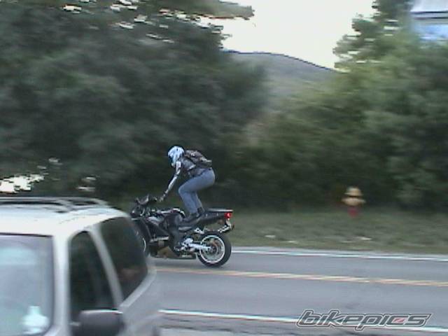 Photo 44373