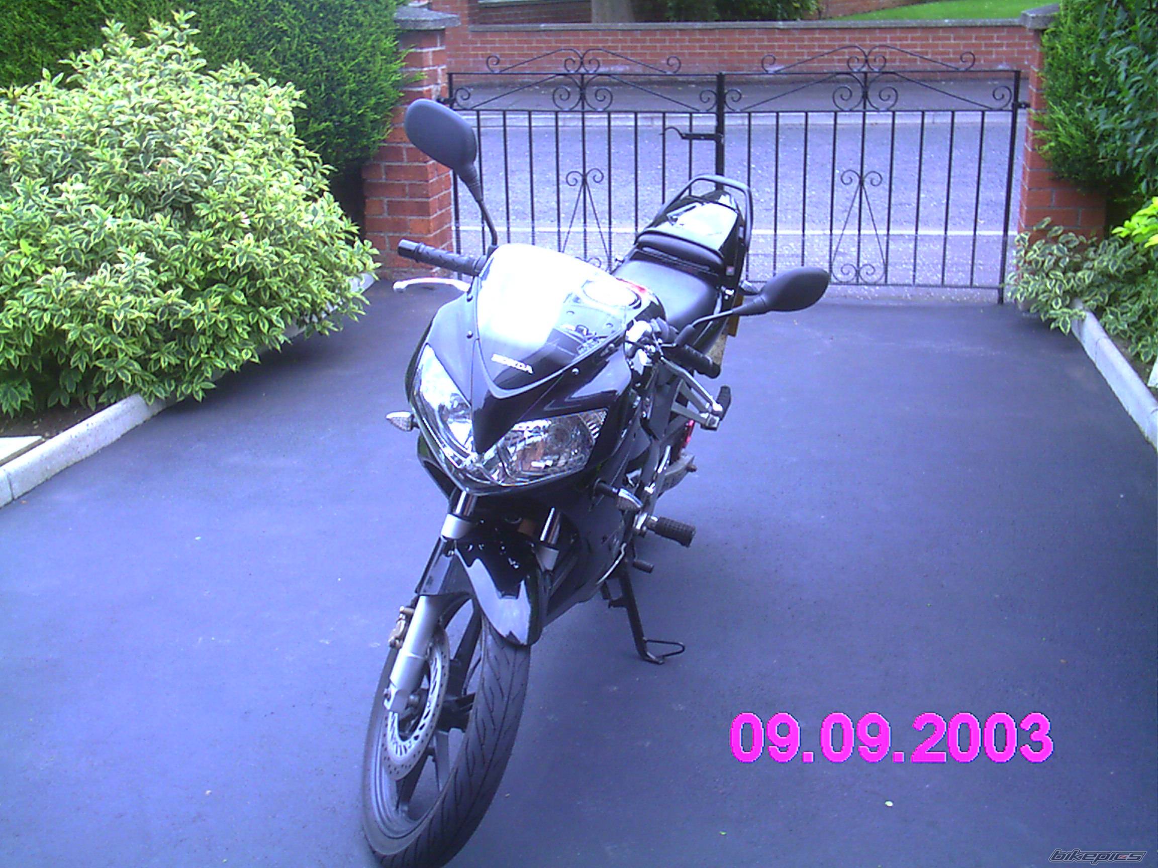 Photo 443751