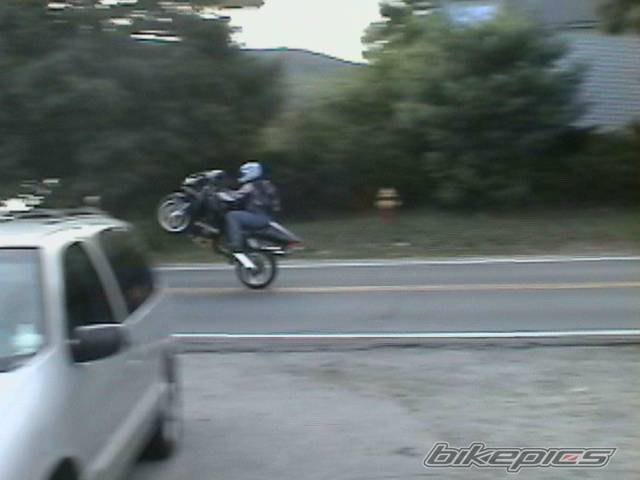Photo 44376