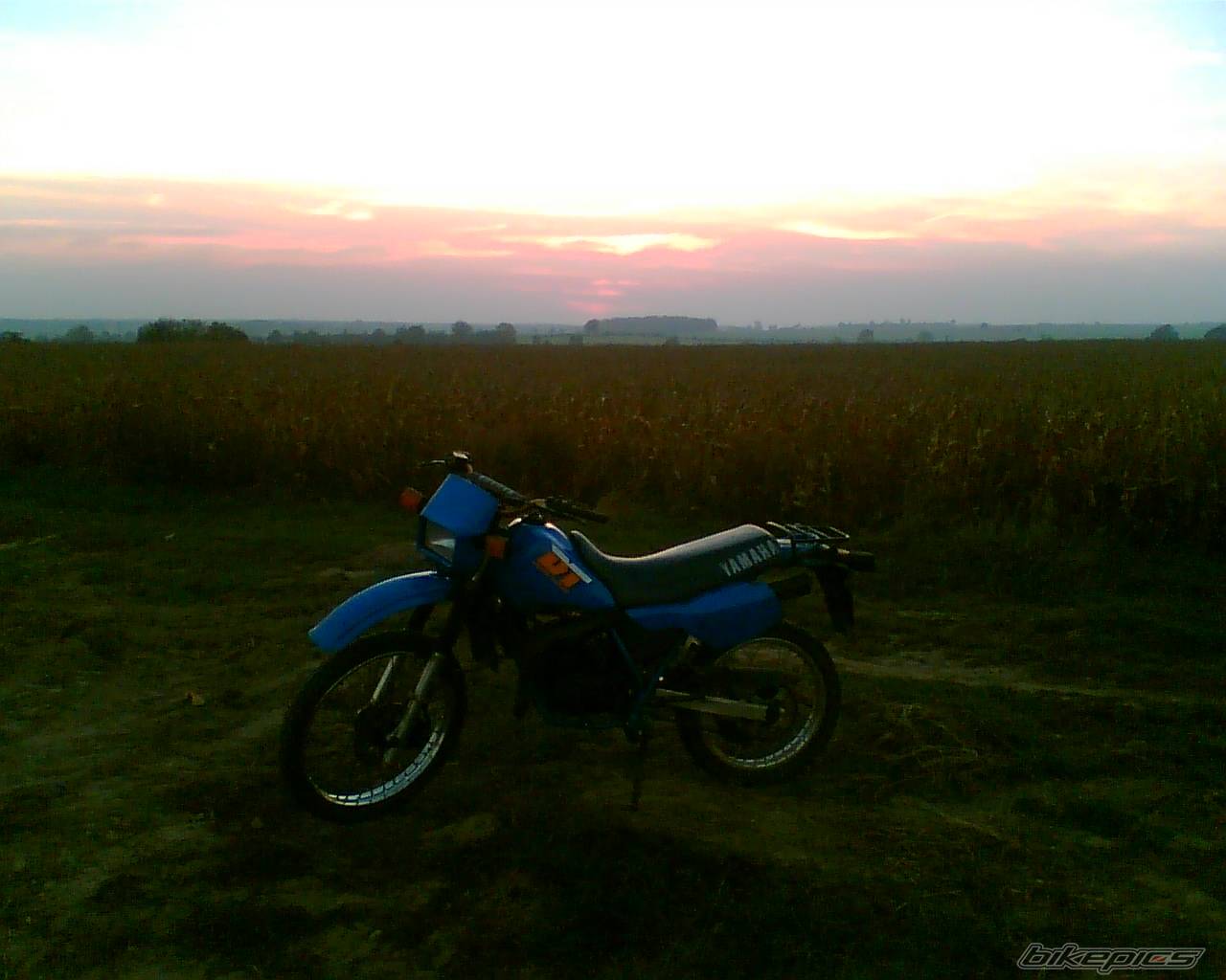 Bike Photo 443835