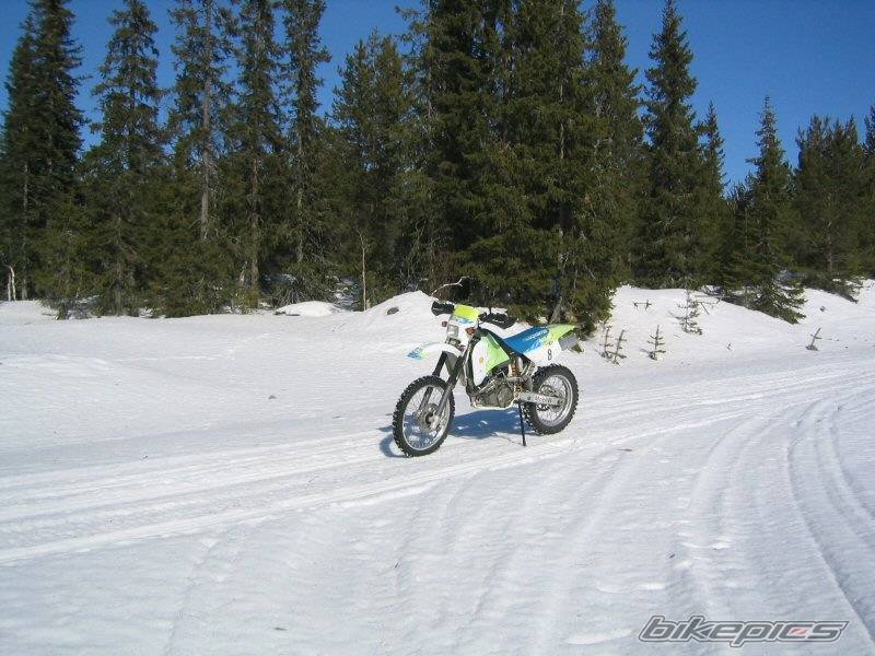 Photo 443839