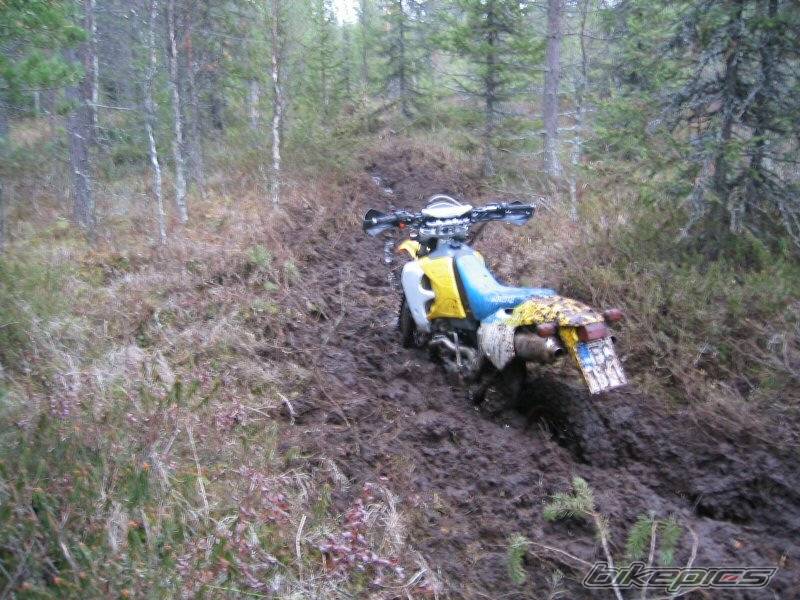 Photo 443840
