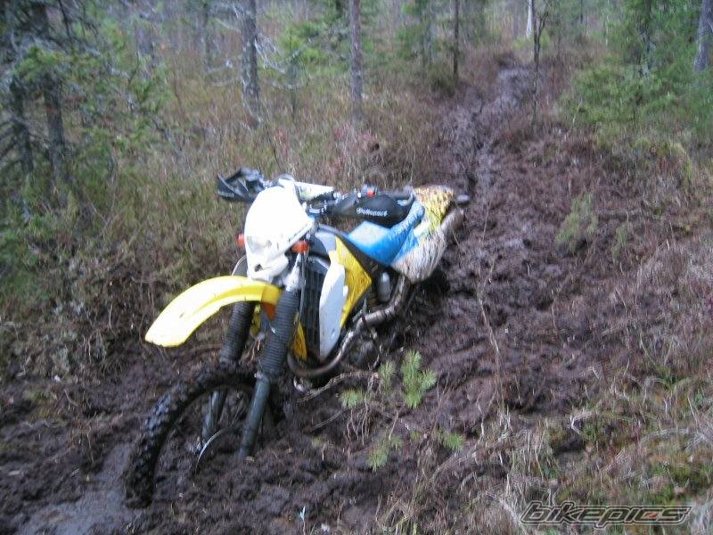 Photo 443841