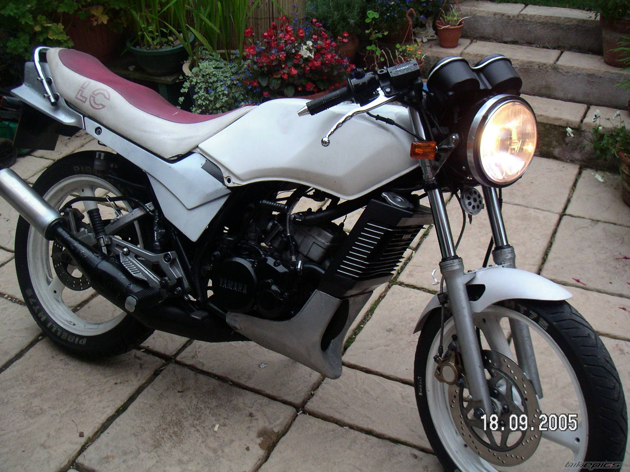 Bike Photo 443895
