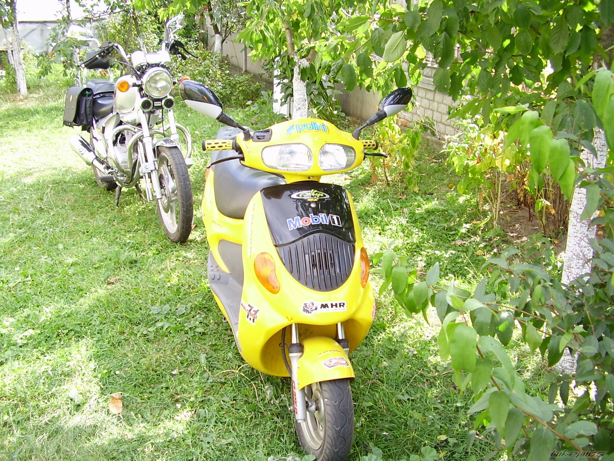 Photo 443936