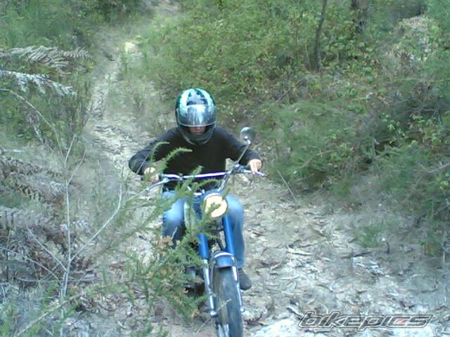 Photo 443993