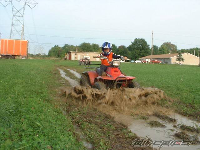 Photo 444057